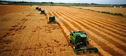 昌吉國家農業科技園區 探索現代農業改革創新之路