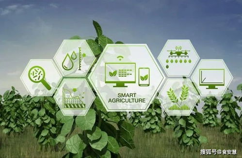 食安慧 建立種植基地溯源系統，打造源頭精品蔬菜