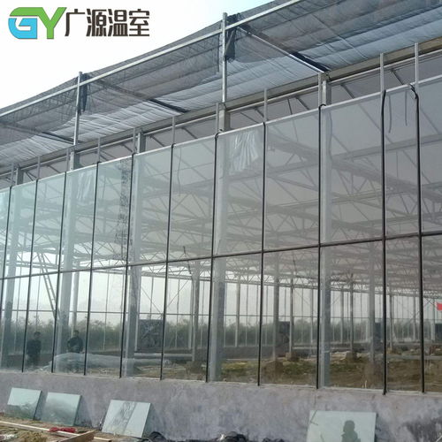 夏季溫室大棚遮陽降溫關鍵技術要點解析