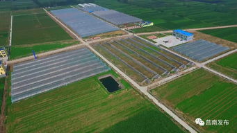 莒南縣三向發力加快推動農業技術開發與轉型升級