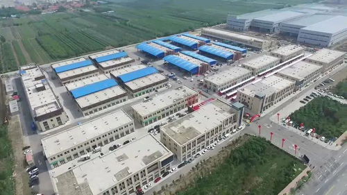 膠東經濟圈農業一體化發展新篇章 供銷合作與技術驅動并舉