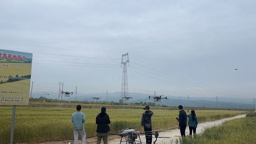 高質高效農產品綠色集成技術 驅動銅川市特色現代農業高質量發展的核心引擎