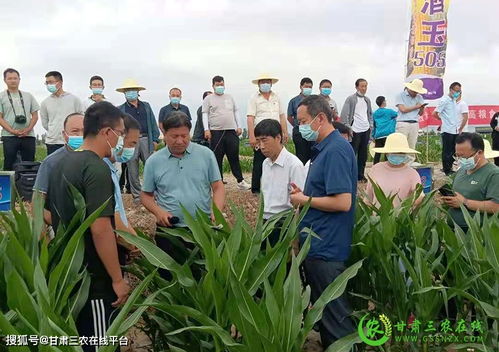 酒泉市農技中心 統籌謀劃促發展，協調推進抓落實，譜寫農業技術開發新篇章