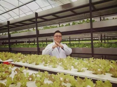 南軟星光 | 曼哈都市田園 科技賦能，打造高營養放心蔬菜的綠色革命
