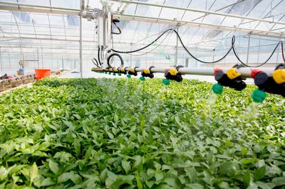 種菜也要“科技范”!萬山種苗繁育實現“自動化”