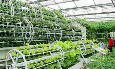 打造休閑農業項目的10大經驗總結，讓農莊越來越火！