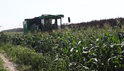 哈爾濱市平房鎮 “三鏈”繪就鄉村振興新圖景，農業技術開發譜寫“十四五”收官年田野新答卷