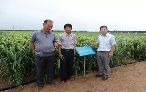 以民為本，以食為天，以安為先——蒙清農業的科技興農之路